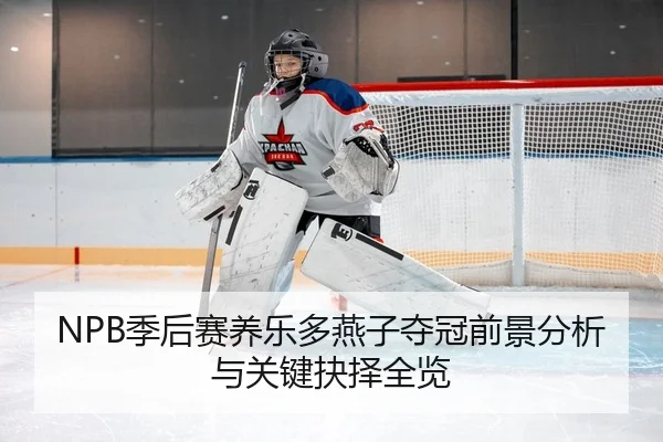 NPB季后赛养乐多燕子夺冠前景分析与关键抉择全览