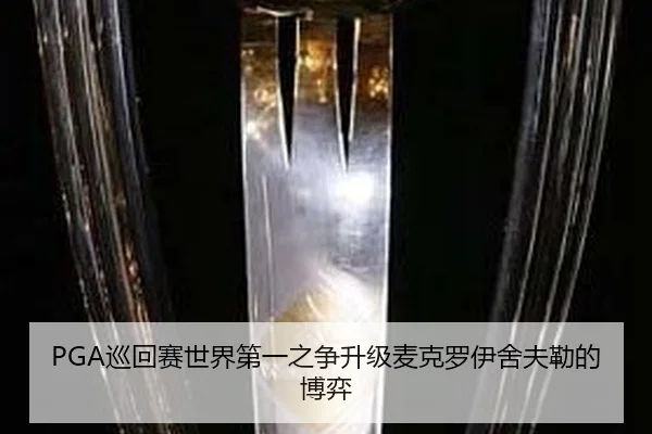 PGA巡回赛世界第一之争升级麦克罗伊舍夫勒的博弈